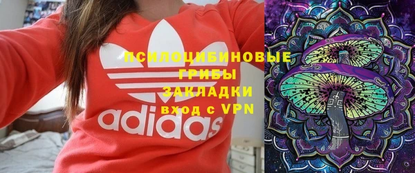 стаф Абдулино