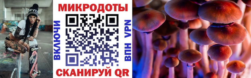 Галлюциногенные грибы прущие грибы Оренбург